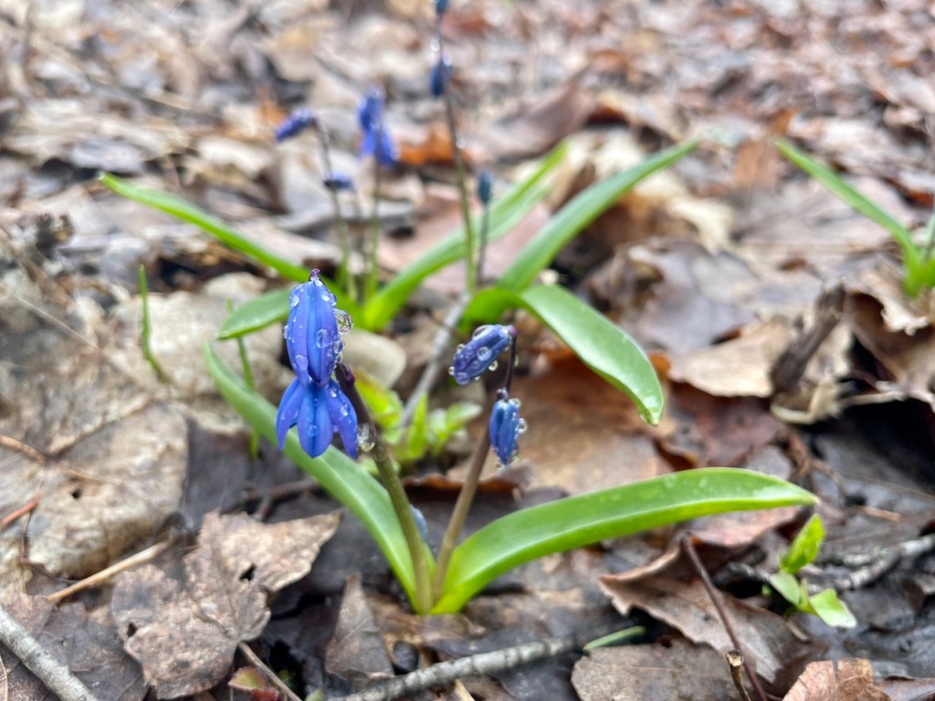 Kết nối với sự kỳ diệu qua hơi&nbsp;thở