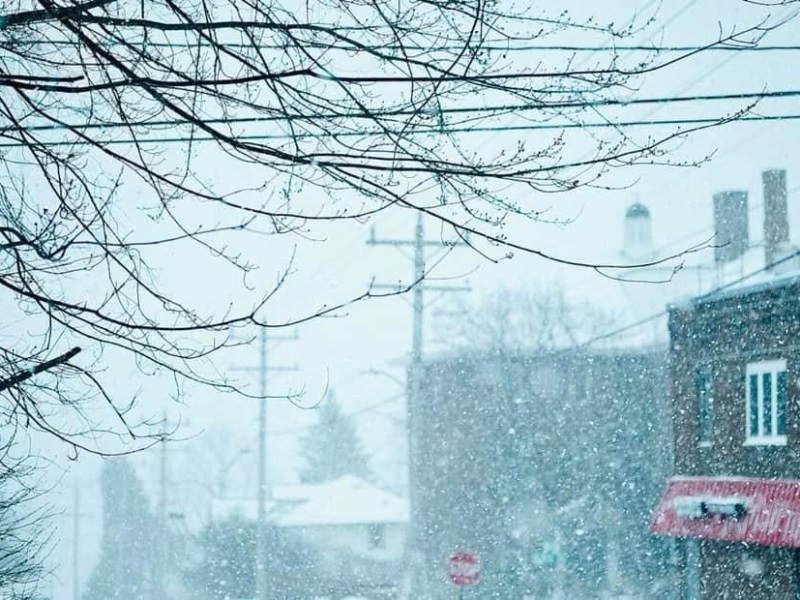 một ngày tuyết&nbsp;rơi