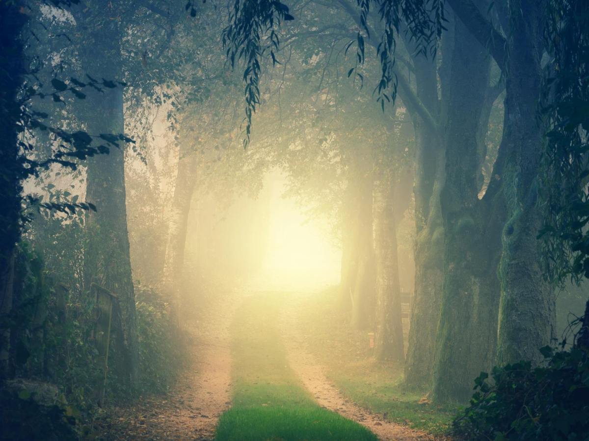 Phép màu của tạo&nbsp;hoá