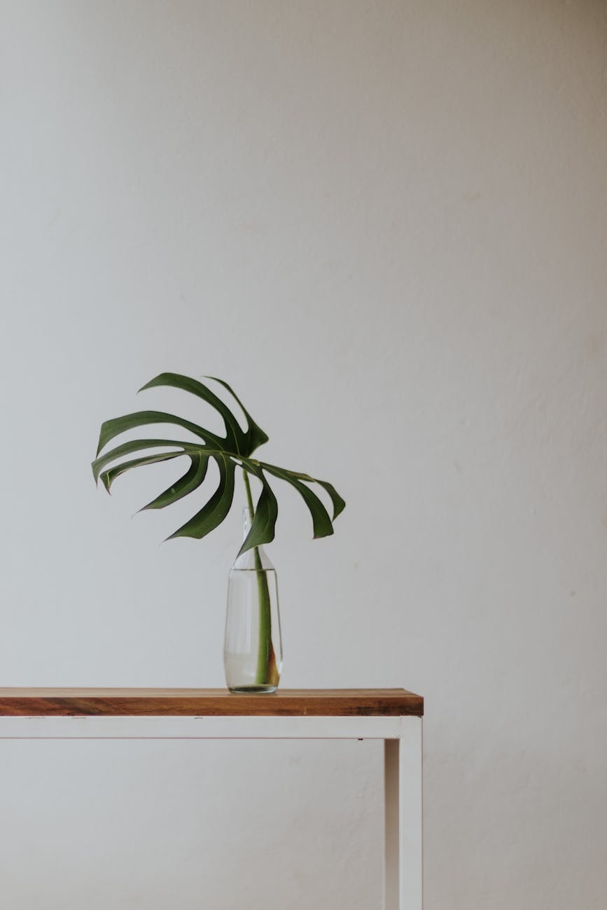 Cân bằng trong cuộc&nbsp;sống