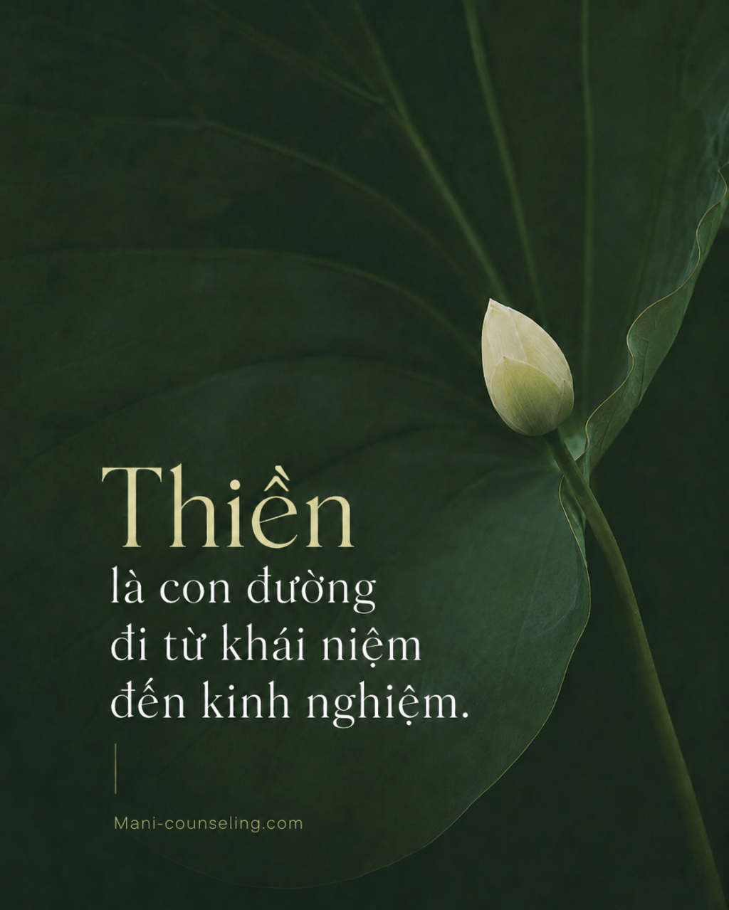 Chúng ta thiền để làm&nbsp;gì?